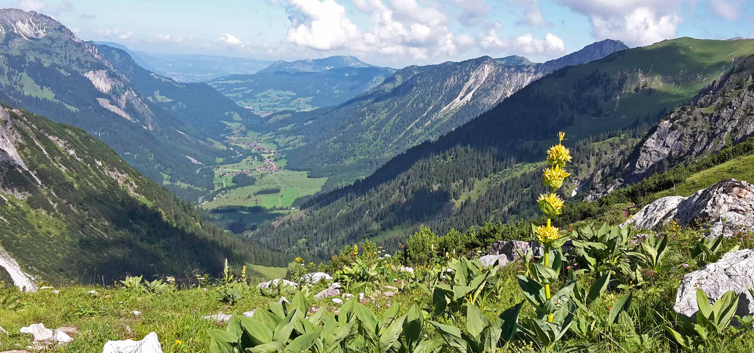 Das Allgäu