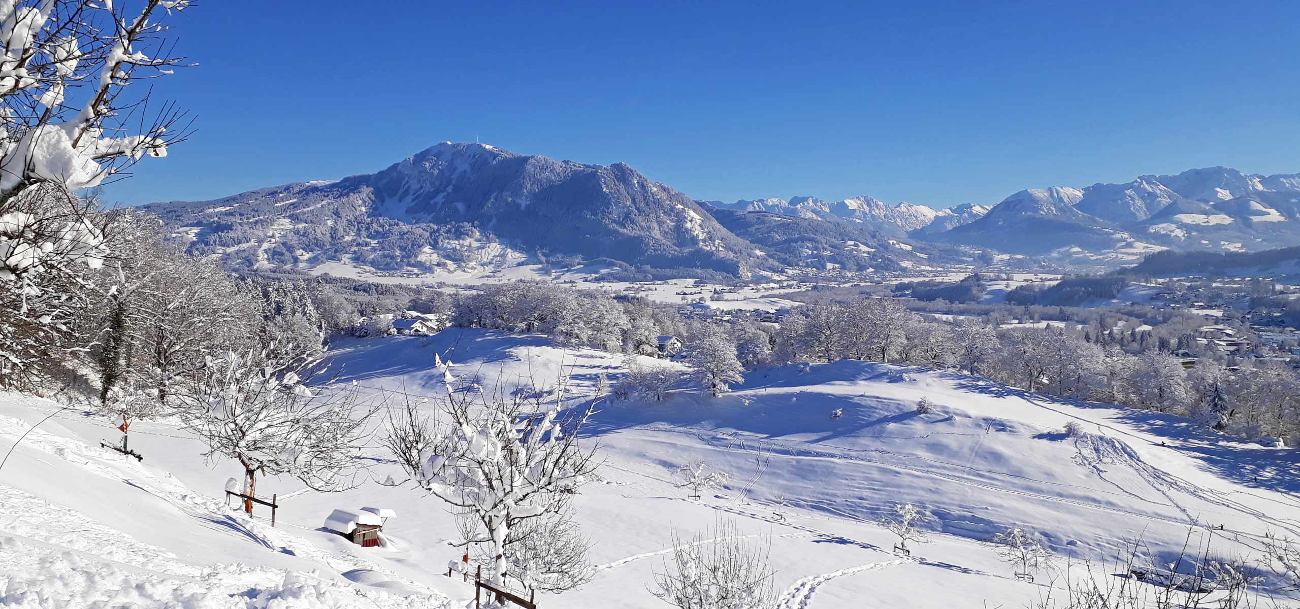 Das Allgäu